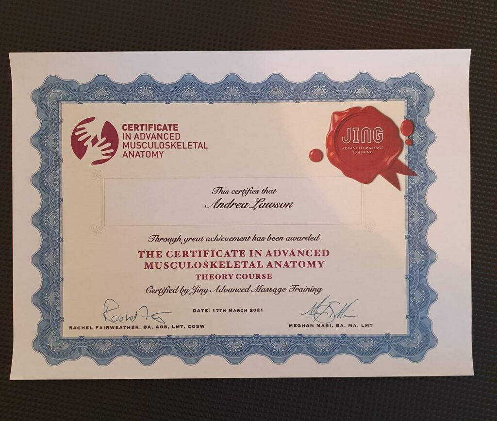 Anatomy certificate