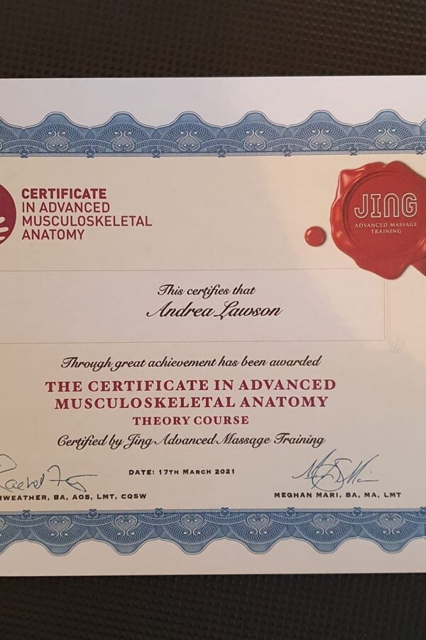 Anatomy certificate